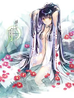 无颜之月-待宵双椿 攻略要点 预览图